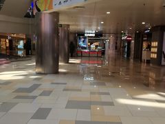 -鹏欣水游城
