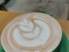 -VEGA VEGA 我行我素