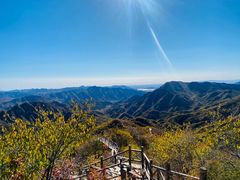 -大岭沟猕猴桃谷风景区