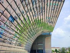 -药王庙(安国市)