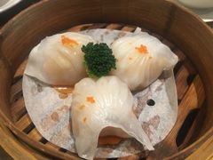 -厦门海沧正元希尔顿逸林酒店開全日餐厅