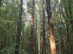 -同里国家湿地公园