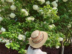 -杭州城北体育公园