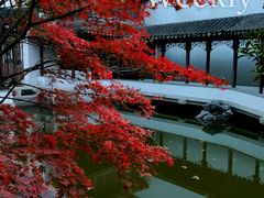 -秋霞圃