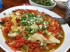-全乐鱼馆·淳牌有机鱼直营店