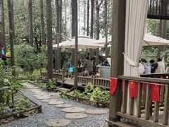 -林间山庄