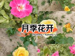-银座和谐广场