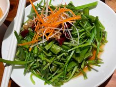 -菌自由丨野生菌火锅特色庭院餐厅(丽江古城店)