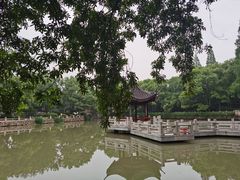 -汇龙潭