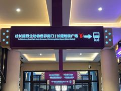 -广州长隆国际大马戏