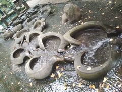 -成都市活水公园