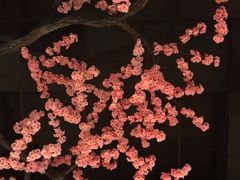 -蓝鲸湾汤泉(包河店)