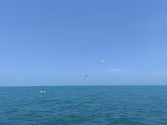 -海驴岛(荣成市)