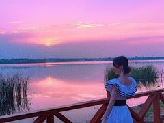 -丁香湖公园