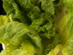 生菜-京悦南门涮羊肉·羊蝎子火锅(田林路店)