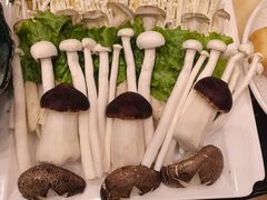 -清真军邺·金富苑肥牛城(海湖新区精品店)
