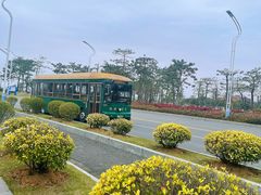 -芒洲湿地公园