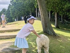 -神户市立六甲山牧场