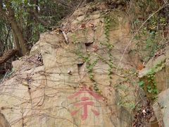 -上海佘山国家森林公园西佘山园