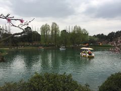-秀丽东方