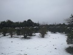 -南湖湿地公园