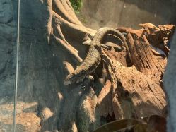 -Zoolung Zoolung动物主题公园(海信广场店)