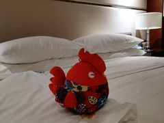 -苏州金鸡湖大酒店