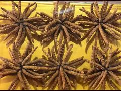 -回收名酒洋酒烟酒冬虫夏草礼品(上海总店)