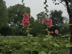 -暨阳湖生态园