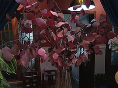 -观盐·盐帮菜(官园桥店)