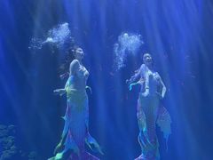 -华夏文旅海洋公园