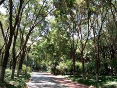 -大兴滨河森林公园