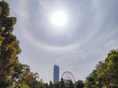 -成都南湖公园