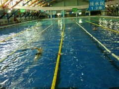 -宏雁游泳馆