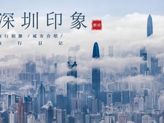-鹏城八珍深圳特产手信(罗湖店)