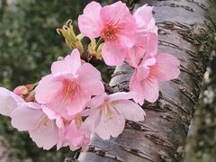 -静安雕塑公园