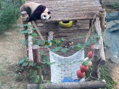 -大连森林动物园