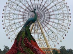 -七彩云南欢乐世界