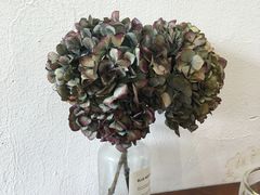 -禾气食店