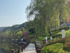 -重庆彩云湖湿地公园