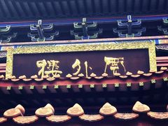 -铁山坪森林公园