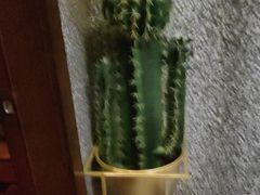 -泰适SPA馆丨精油·按摩·足道(后海地铁口店)