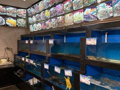 -华盛丰温州大排档(东三环南路店)