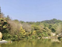 -云溪植物园