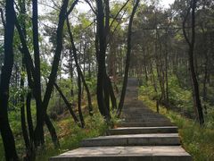 -沂蒙山旅游区云蒙景区(蒙山国家森林公园)
