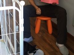 -多乐狗狗宠物训练工作室