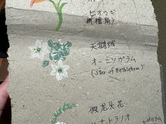 -帝京日语(春熙路旗舰校区)