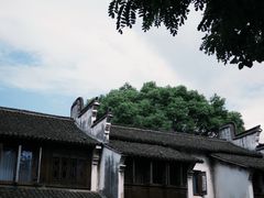 -乌镇西栅景区