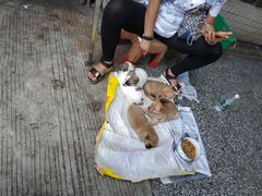-细村农贸综合市场