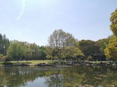 -范蠡湖公园